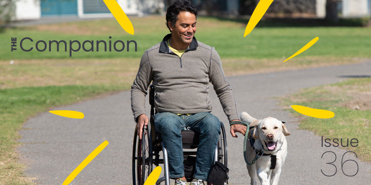 Man traveling in wheelchair with white labrador besides him